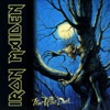 Iron Maiden - Fear of the Dark - 2015 Remaster