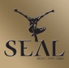 Seal - Kiss from a Rose